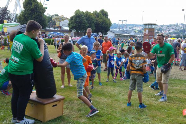 Spielfest_Erbacher_wiesenmarkt_2016_TSV_ERBACH_BOXEN (5)